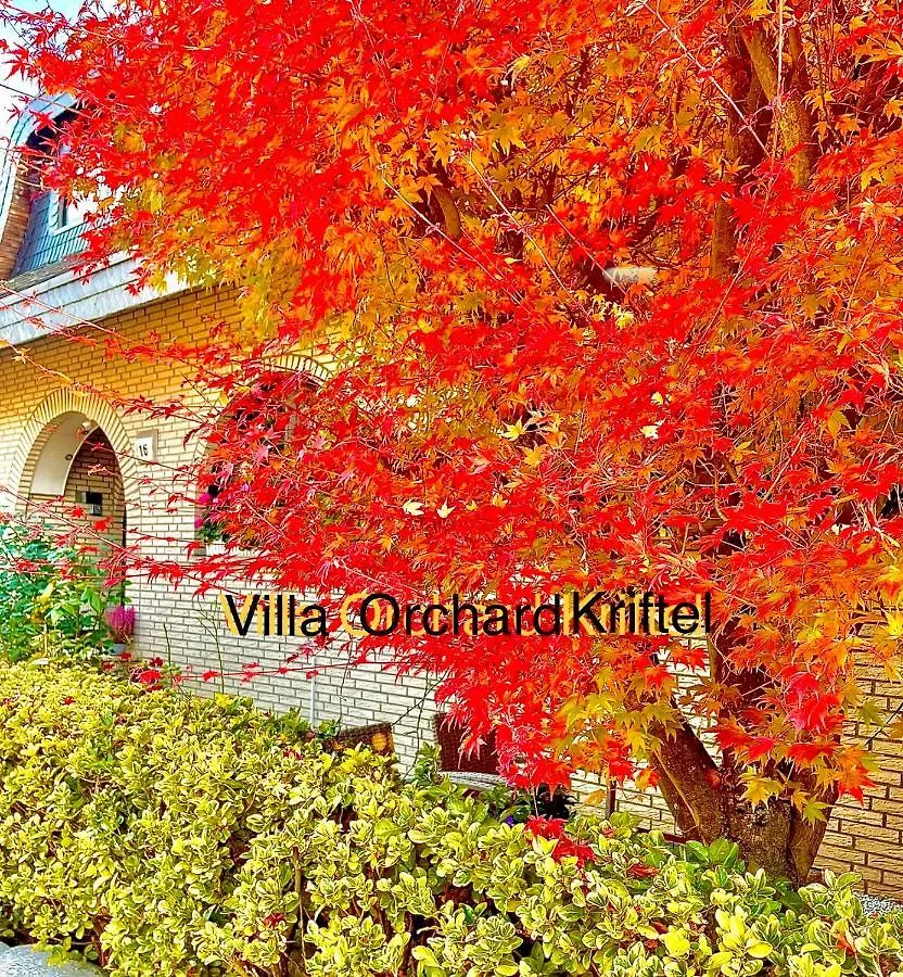 ***** Bed & Breakfast Villa Orchard Frankfurt Kriftel Duitsland