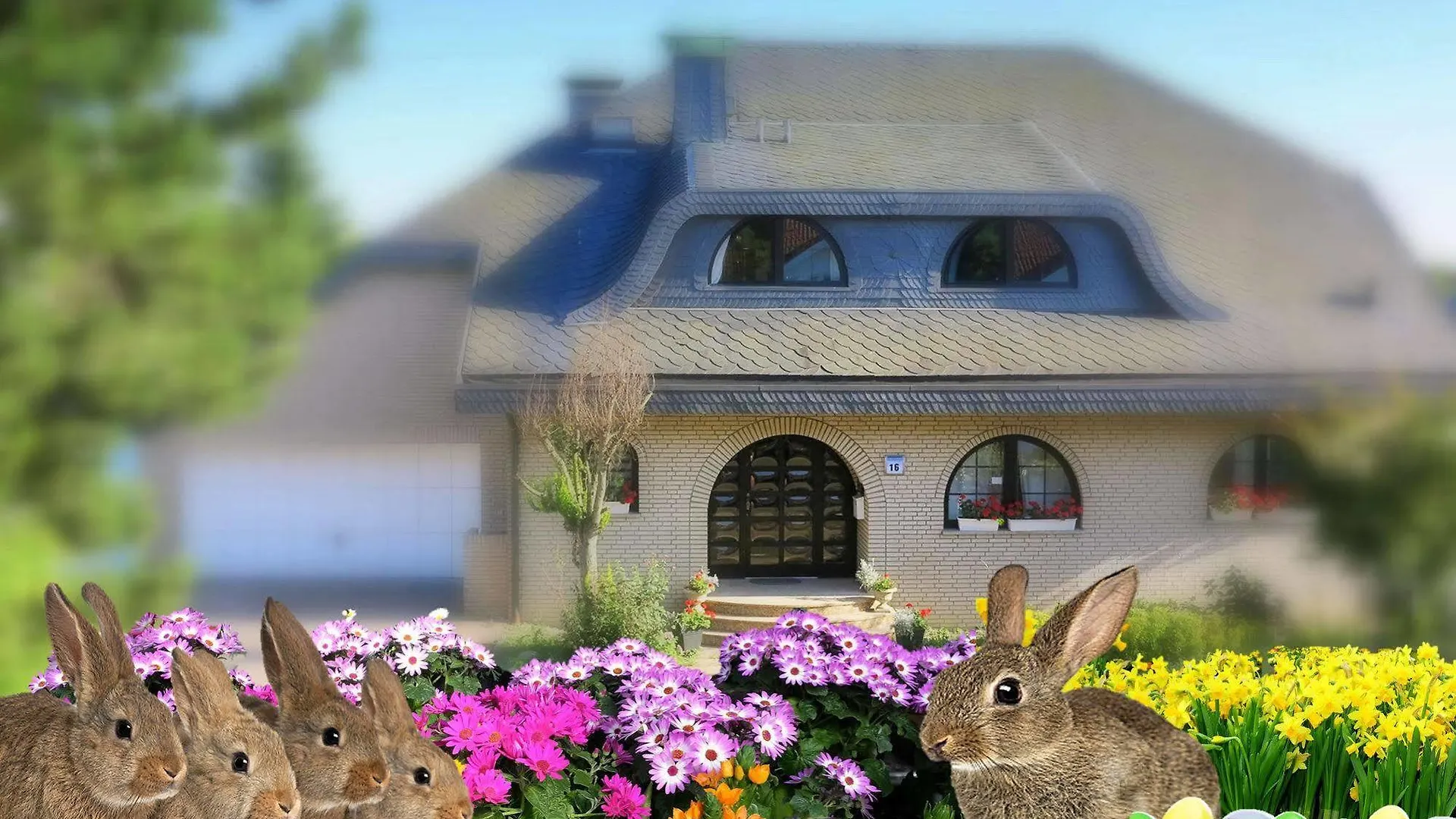 Villa Orchard Frankfurt Kriftel Bed & Breakfast
