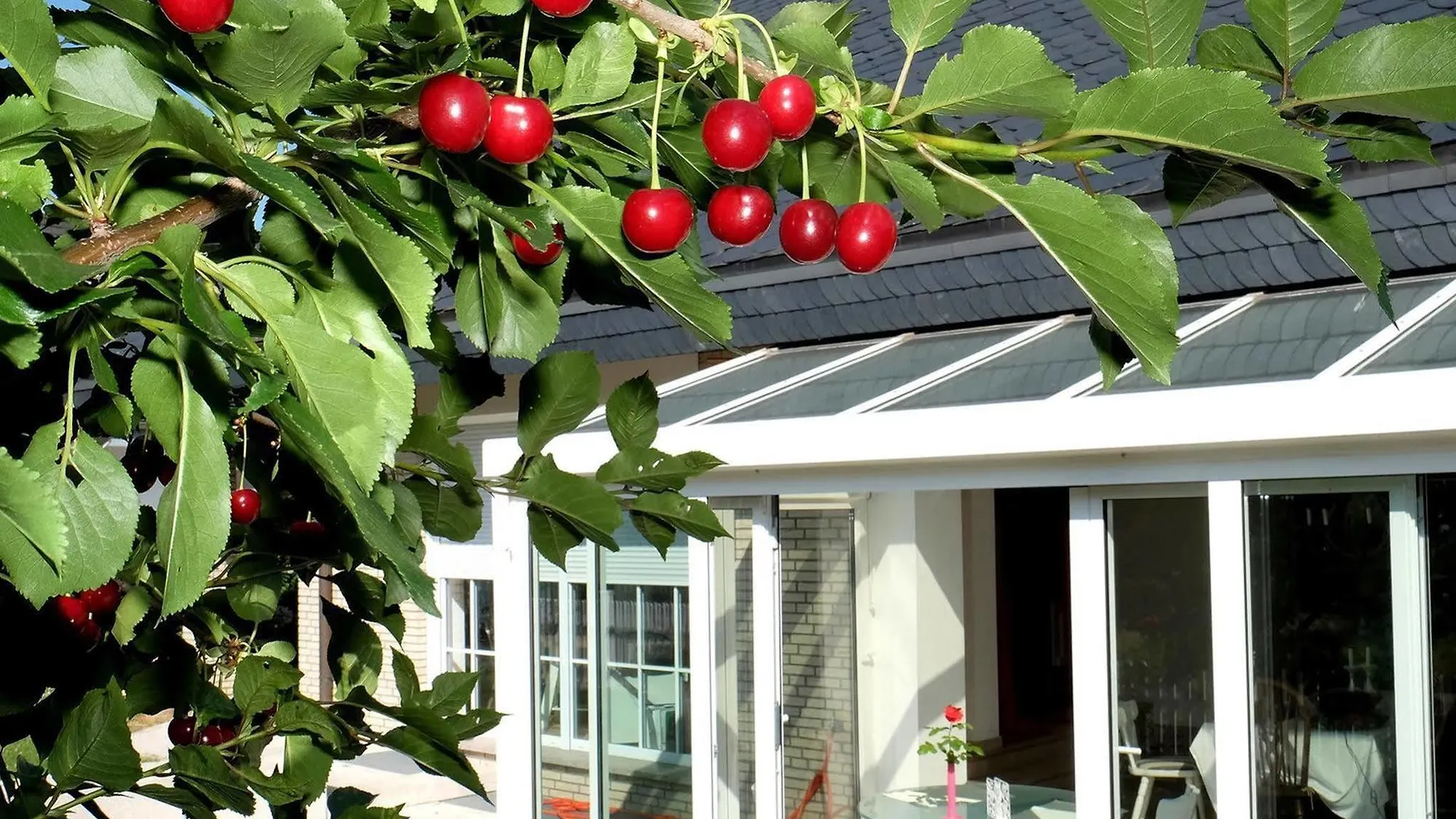 Villa Orchard Frankfurt Kriftel