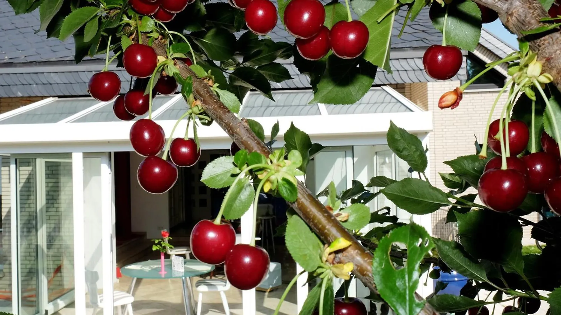 Villa Orchard Frankfurt Kriftel