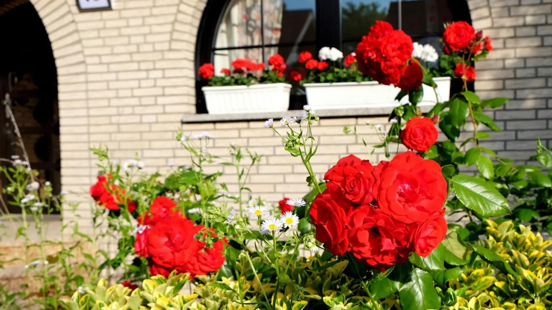 Bed & Breakfast Villa Orchard Frankfurt Kriftel